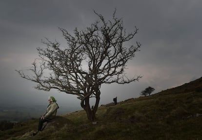 Parajes solitarios o tenebrosos, bucólicos o sombríos, llenos de vida o de muerte, un paseo gráfico en el que un árbol describe un momento del día a día en distintos lugares del mundo. Una selección sacada de entre las miles de fotos de actualidad que envían al diario las agencias de información gráfica. En la imagen, Slemish Mountan, un lugar al que acuden los peregrinos el día de San Patricio, en Ballymena, Irlanda del Norte. Cuenta la leyenda que San Patricio trabajó en esta montaña como pastor después de ser capturado y trasladado a Irlanda como esclavo.