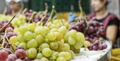 Uvas de mesa ecológicas de la empresa Agronovel, en Hondón de las Nieves