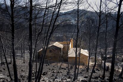 Estado en el que han quedado las viviendas ubicadas en las urbanizaciones Montepino y Montesol, afectadas por el incendio urbano forestal de Llutxent, en Gandía.