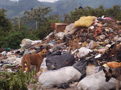 Vertederos irregular de Manabí, al noreste de Ecuador (2010), antes de su clausura.