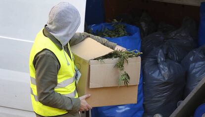 Un policia, amb una caixa de marihuana aquest dimecres a Terrassa.