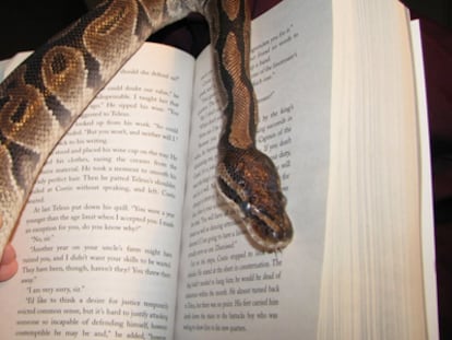 Una serpiente junto a un libro.