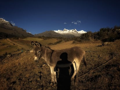 Autorretrato, no Parque Nacional de Huascarán, em Huaraz (Peru).