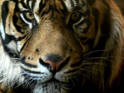 Las 20 mejores imágenes de la semana