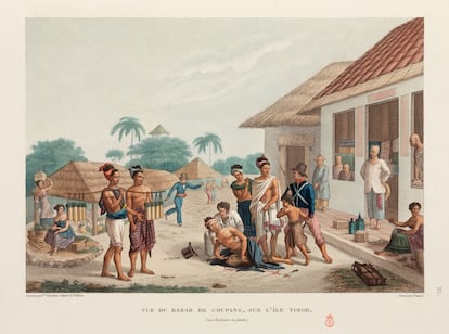 Ilustración de Timor de Louis Claude Desaulses de Freycinet (1779-1842), publicada en París entre 1824 y 1844.