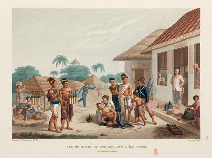 Ilustración de Timor de Louis Claude Desaulses de Freycinet (1779-1842), publicada en París entre 1824 y 1844.