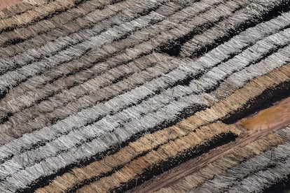 Troncos de eucaliptos de plantações do Estado de Amapá empilhados no porto da capital, Macapá.