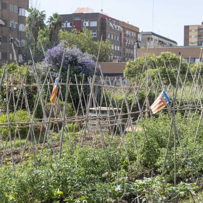 Un movimiento en auge de agricultores, ciudadanos y ciudadanas, alcaldes y alcaldesas, y comunidades están construyendo el futuro de los alimentos para hacer que nuestras áreas urbanas sean más resistentes. Están cultivando alimentos saludables en granjas y huertos urbanos, jardines en las azoteas y balcones. Están organizando mercados de agricultores y agricultoras, cooperativas de alimentos y lugares para que las personas intercambien y accedan a alimentos saludables. Están eligiendo servir más comidas vegetarianas en comedores públicos y restaurantes. Están cultivando, comprando y cocinando ingredientes locales y de temporada, evitando importaciones exóticas poco fiables y contaminantes.