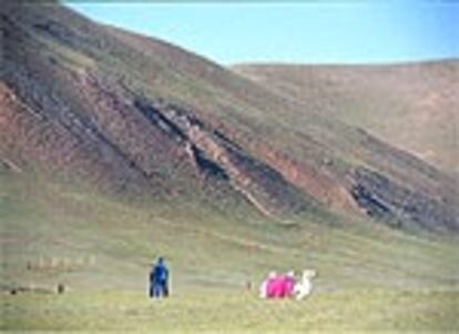 Un camello asiático ataviado para la fiesta de El Oiyín en Kokoriá (Altái), una aldea en medio de las vastas estepas rusas fronterizas con Mongolia, China y Kazajstán.