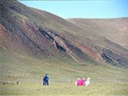 Un camello asiático ataviado para la fiesta de El Oiyín en Kokoriá (Altái), una aldea en medio de las vastas estepas rusas fronterizas con Mongolia, China y Kazajstán.