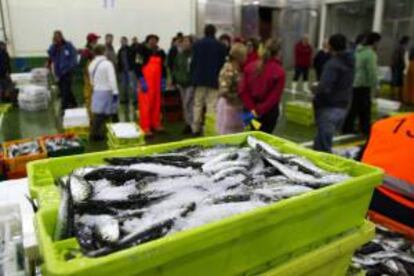 Los ciudadanos europeos pagan tres veces por el pescado que consumen, como resultado del actual estado de los recursos marinos y de las subvenciones, según un informe publicado de New Economics Foundation. EFE/Archivo