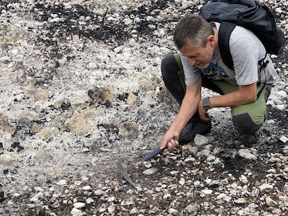 Zona afectada por alta severidad del fuego, eque inspeccciona Jorge Mataix Solera.