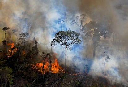 Queimada Amazônia