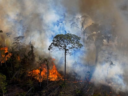 O chanceler brasileiro e o mercado de carbono