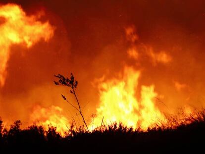 Cuarenta años alertando del cambio climático