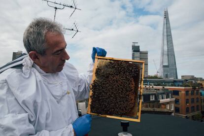 Dale Gibson, retratado en la azotea londinense donde tiene instaladas ocho de las colmenas de Bermondsey Street Bees.