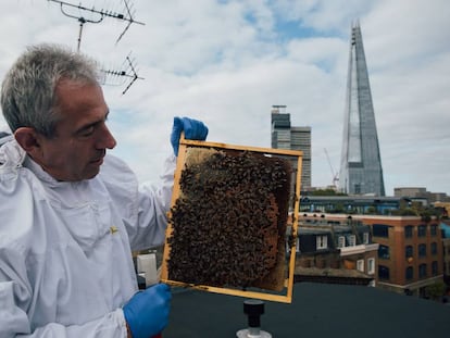 Dale Gibson, retratado en la azotea londinense donde tiene instaladas ocho de las colmenas de Bermondsey Street Bees.