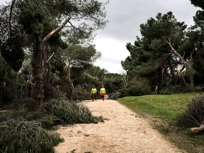 Dos jardineros de la Casa de Campo, en un camino lleno de ramas caídas.