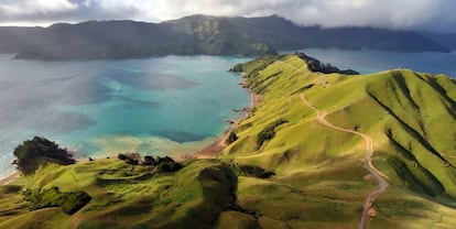 Bahías de Marlborough Sounds (Nueva Zelanda). 
 