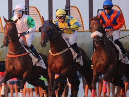 Tres jinetes inician una carrera la pasada semana en Sanlúcar de Barrameda (Cádiz).