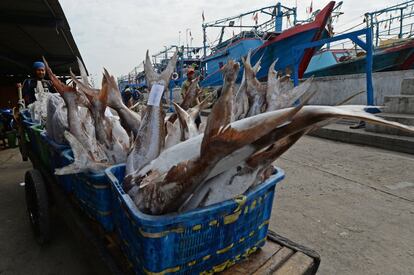 Un trabajador empuja un carro lleno de pescado fresco en el puerto de Muara Angke, en Jakarta (Indonesia). 