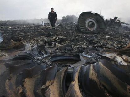 Lugar del siniestro del vuelo MH17, en la provincia de Donetsk (Ucrania).