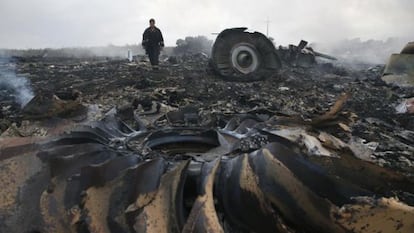 Lugar del siniestro del vuelo MH17, en la provincia de Donetsk (Ucrania).