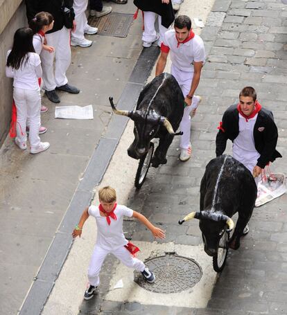 Dos hombres empujan los toros usados para el 'encierro txiki' de los Sanfermines, Pamplona. 