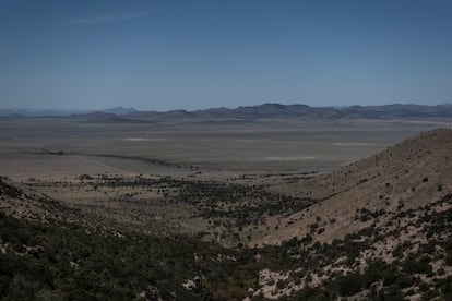 Desierto de  Sonora.
