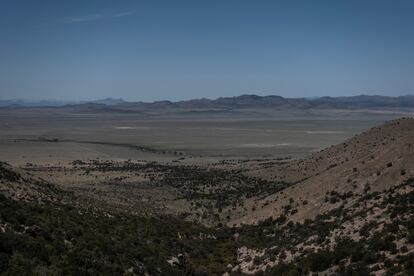 Desierto de  Sonora.