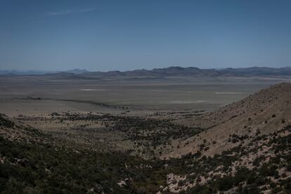 Desierto de Sonora.