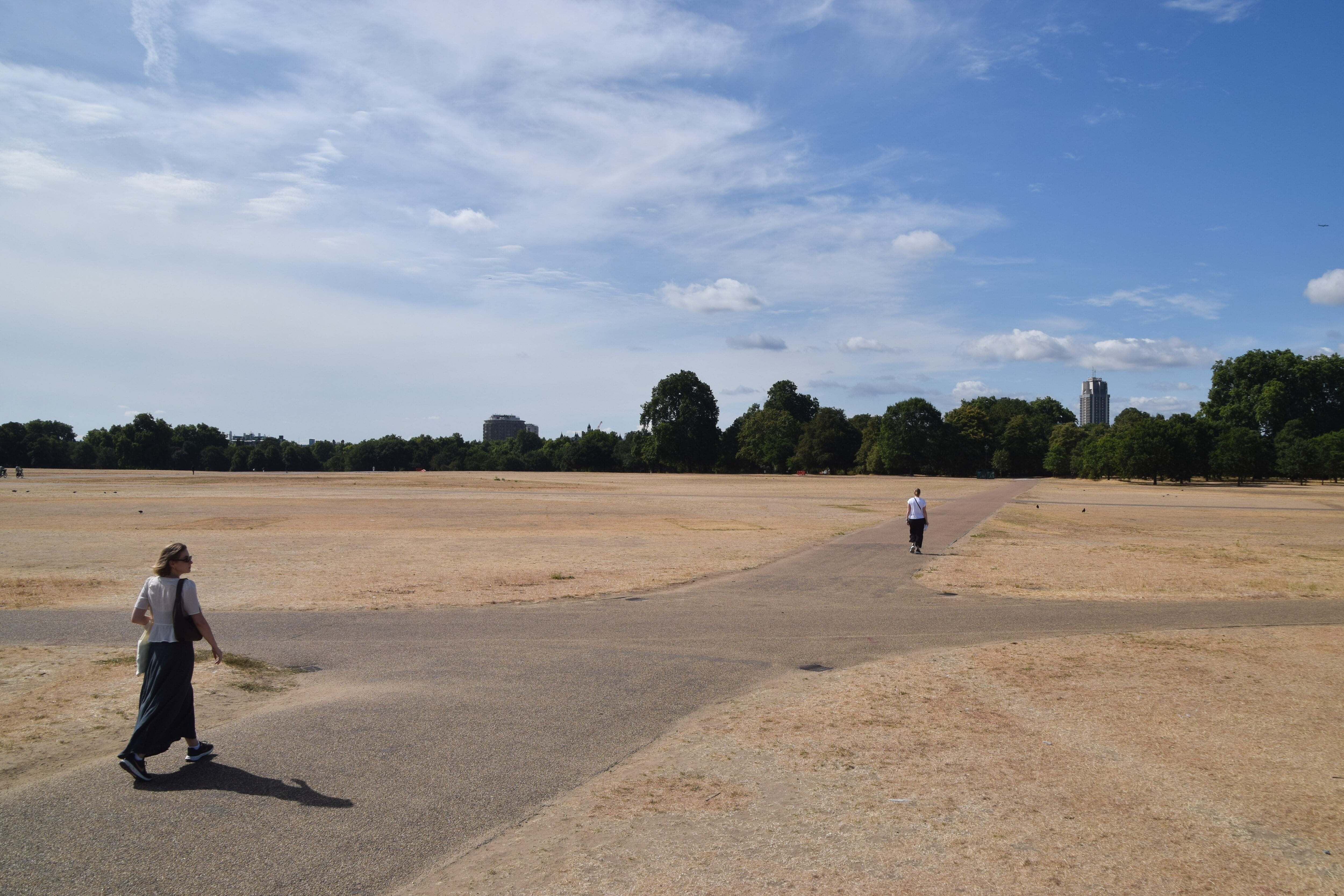 “Hyde Park parece el desierto de Dubái”: la sequía transforma los verdes parques de Londres en secarrales