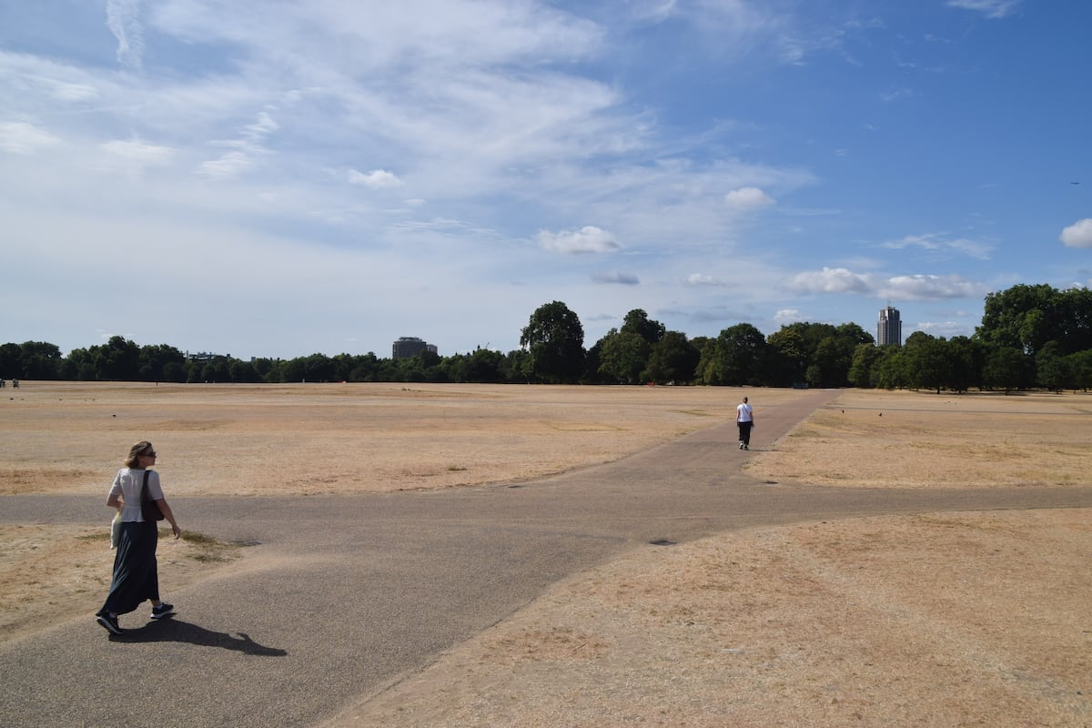 “Hyde Park parece el desierto de Dubái”: la sequía transform