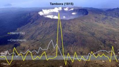 Esta gráfica sobre la imagen del Tambora muestra la explosiva presencia de hierro en los pinos pirenaicos tras la erupción de 1815.