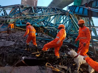 This photograph provided by India's National Disaster Response Force (NDRF) shows NDRF personnel on rescue operations after an accident at a bridge of under construction Samruddhi Expressway at Shahapur, Thane District, Maharashtra state, India, Tuesday, Aug.1, 2023.