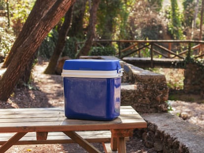 Con este tipo de neveras se puede disfrutar de todo tipo de eventos al aire libre. GETTY IMAGES.