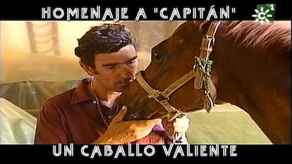 El ganadero Prieto de la Cal junto a su caballo Capitán, herido por una vaca; uno de los reportajes más impactantes del programa.
