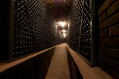 La cava que dio origen a Recaredo fue construida a pico y pala por Josep Mata Capellades, fundador del negocio familiar. La bodega solo hace cava brut nature sin az&uacute;cares a&ntilde;adidos.