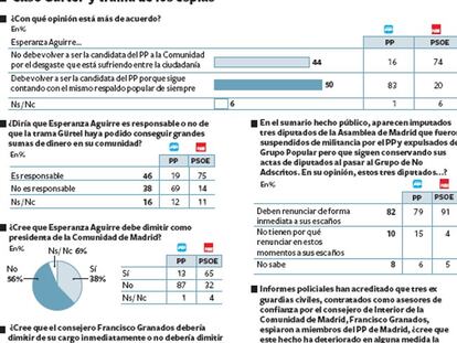'Caso Gürtel' y trama de los espías