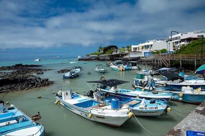 Embarcaciones en Puerto Ayora, en la isla de Santa Cruz (Islas Galpagos).