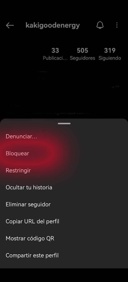 Bloquear en Instagram