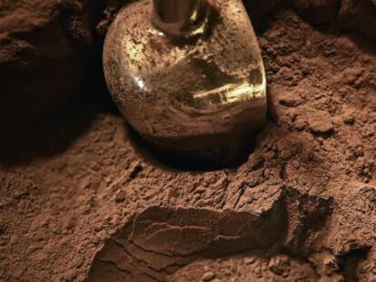 Chocolate en polvo, la materia prima de la empresa colombiana Nutresa.    