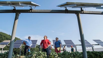 Una instalación de energía solar fotovoltaica.