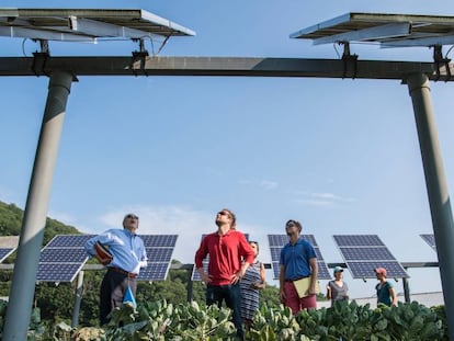 Una instalación de energía solar fotovoltaica.