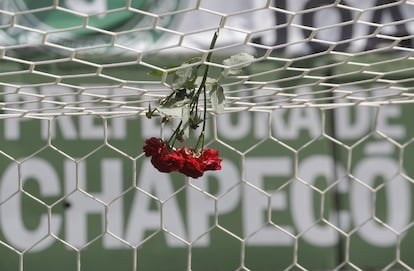 Flores en una de las porterías del estadio Arena Conda en Chapecó (Brasil).