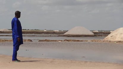 Un hombre mira los dep&oacute;sitos de sal en Kaffrine (Senegal).