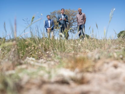 El presidente del Gobierno de España, Pedro Sánchez (centro) acompañado por el director de la Estación Biológica de Doñana, Eloy Revilla (derecha) y por el delegado del Gobierno en Andalucía, Pedro Fernández, este jueves durante su visita al parque nacional de Doñana.