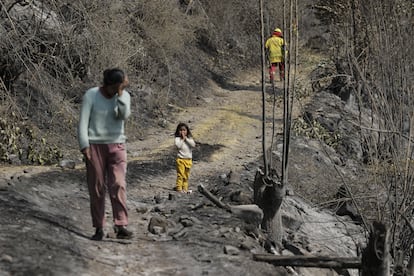 Bolivian firefighters contain wildfire in La Paz QUIME, BOLIVIA