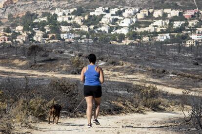 Una mujer camina con su perro por un camino próximo a Granadella, Alicante.