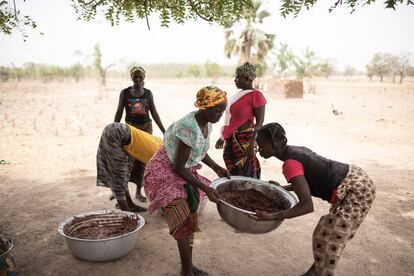 El karité es un árbol típico del Sahel, en África Occidental, que crece silvestre y llega a medir hasta 15 metros de altura. Tienen que pasar entre 15 y 20 años para que empiece a producir frutos y puede vivir hasta tres siglos.